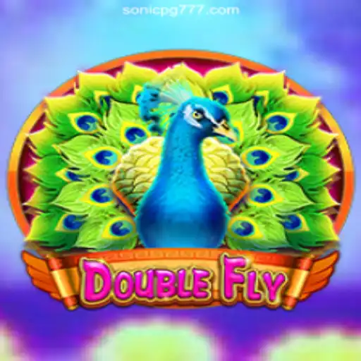 Experience the Excitement of DoubleFly: Your Ultimate Casino Adventure