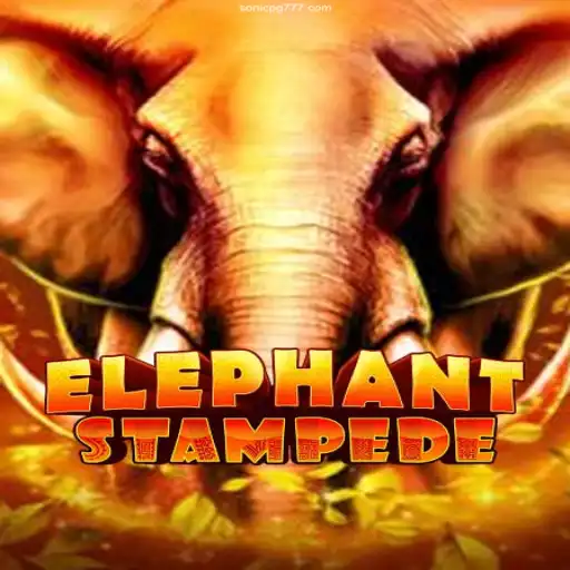 Exploring ElephantStampede: A New Era of Gaming Excitement