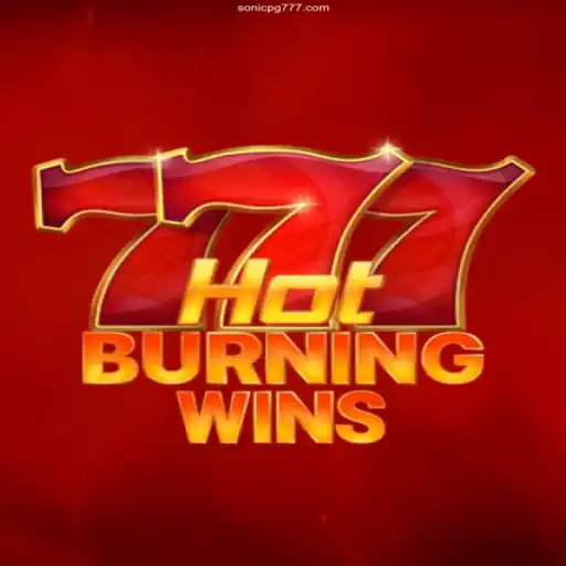 Exploring HotBurningWins: The New Thrill of Online Gaming