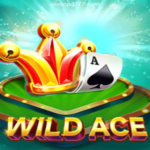Exploring the Thrills of WildAce: A Premier Online Casino Experience